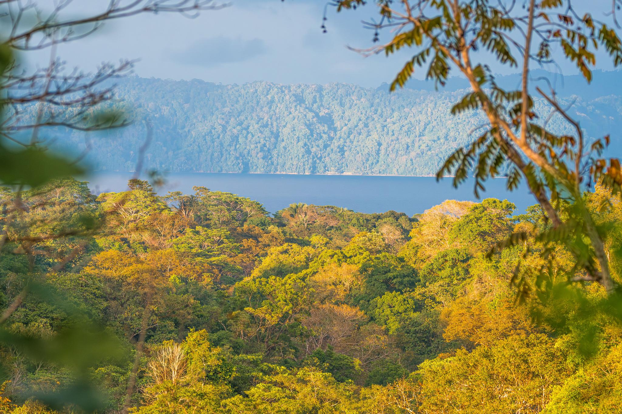 the view of Golfo Dulce from Villa Bruno during golden hour